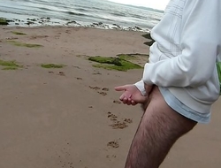A Quick Wank On The Beach